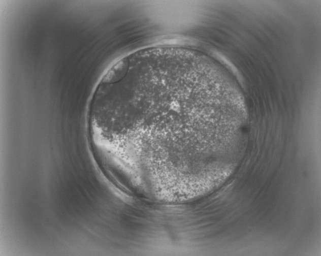 X0000068891483200606021906