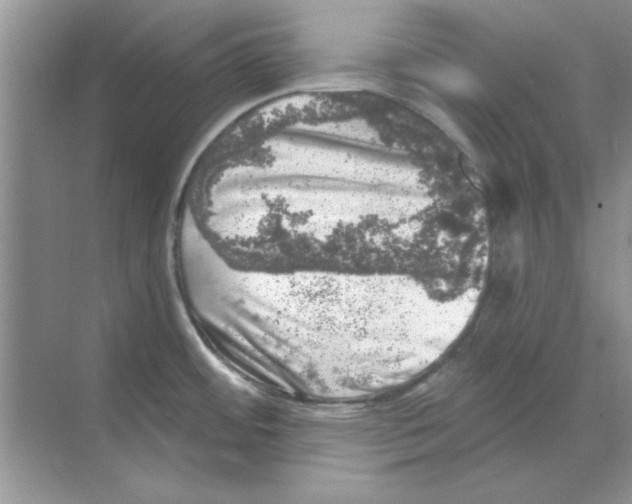 X0000068891484200606021906