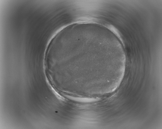 X0000068891485200606021906