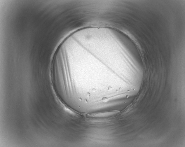 X0000068891486200606021906