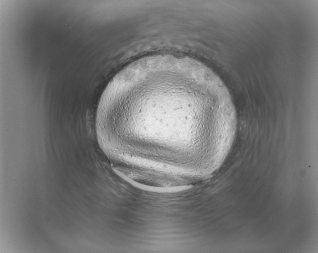 X0000068891490200606021905