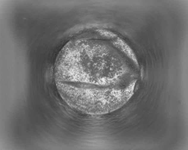 X0000068891492200606021905