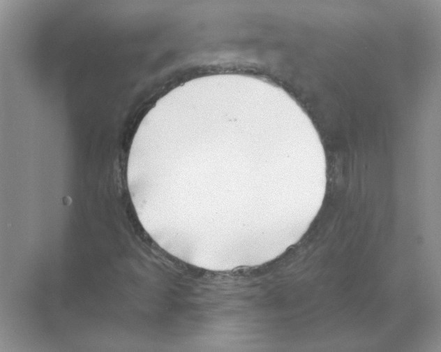 X0000068891493200606021905