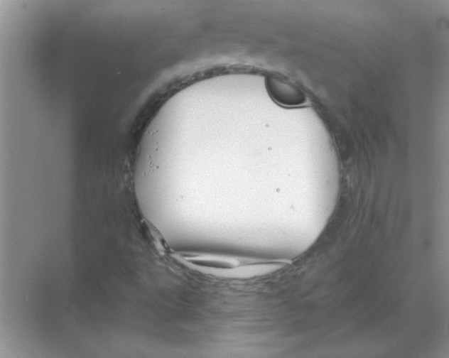 X0000068891495200606021905