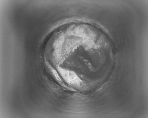 X0000068891496200606021905