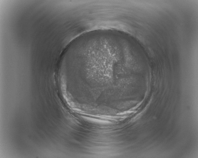 X0000068891497200606021905