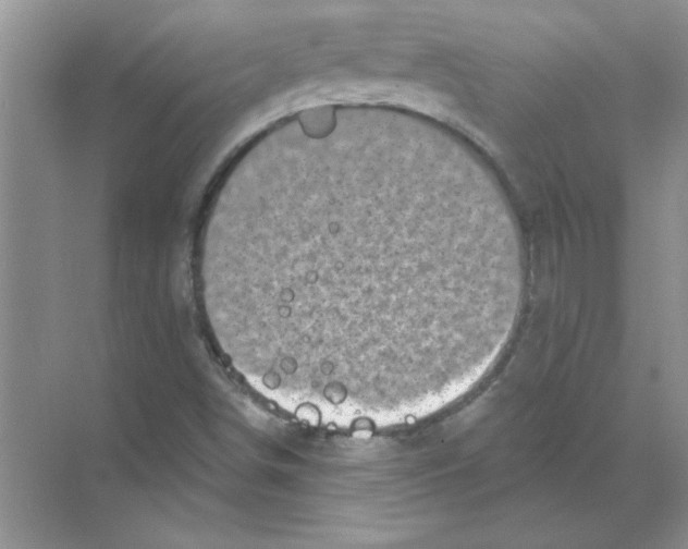 X0000068891498200606021905