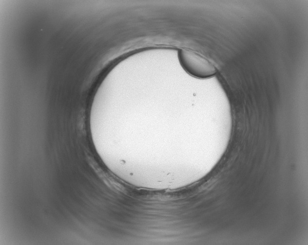 X0000068891499200606021905