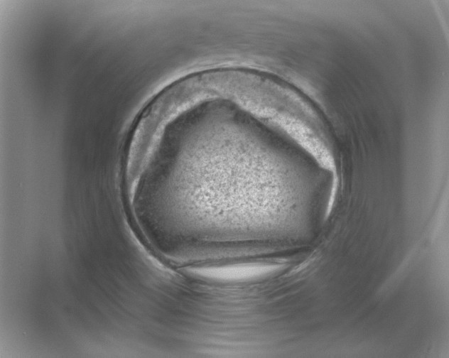 X0000068891500200606021905