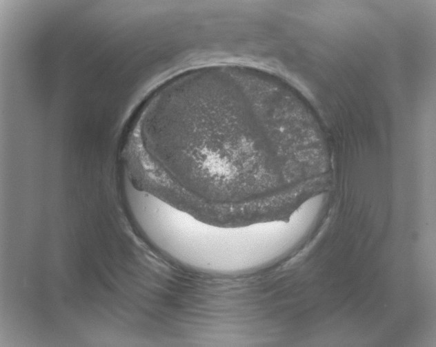 X0000068891501200606021905