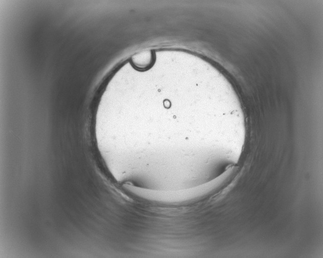 X0000068891502200606021905