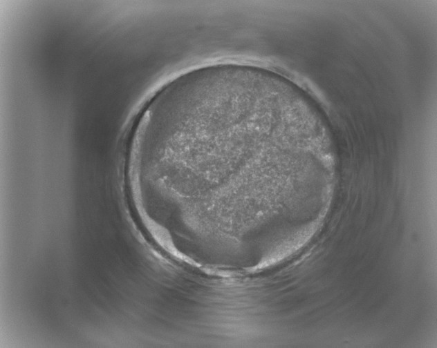 X0000068891504200606021906