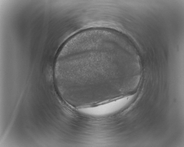 X0000068891505200606021906