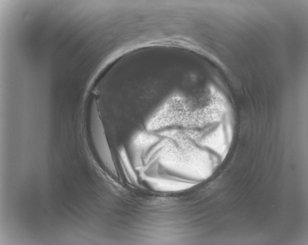 X0000068891506200606021906