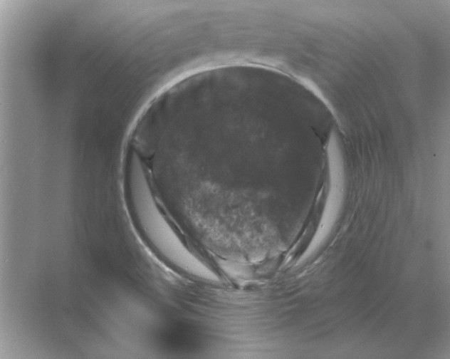 X0000068891508200606021906