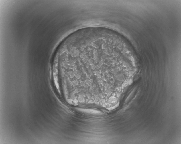 X0000068891509200606021906