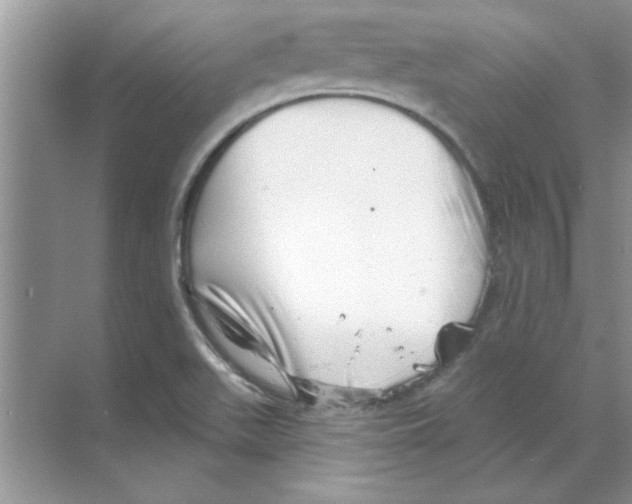 X0000068891511200606021906