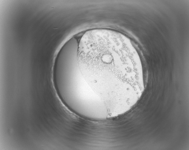 X0000068891512200606021906