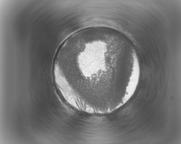 X0000068891513200606021906