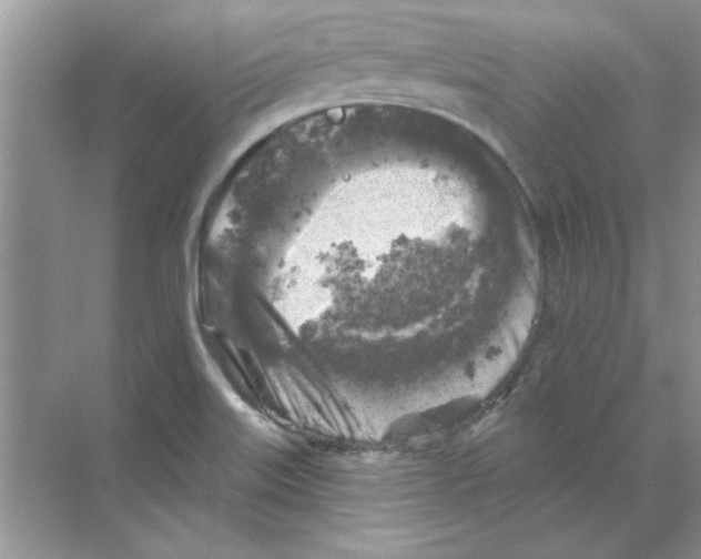 X0000068891515200606021906