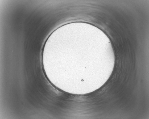 X0000068891516200606021906