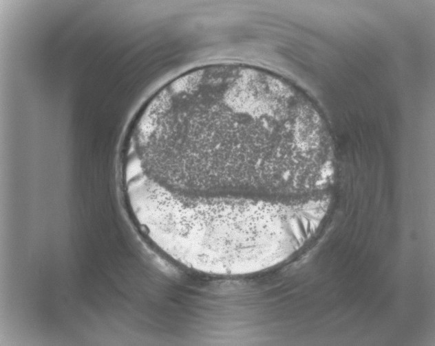 X0000068891517200606021906