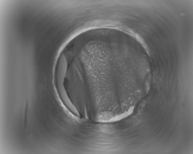 X0000068891520200606021906