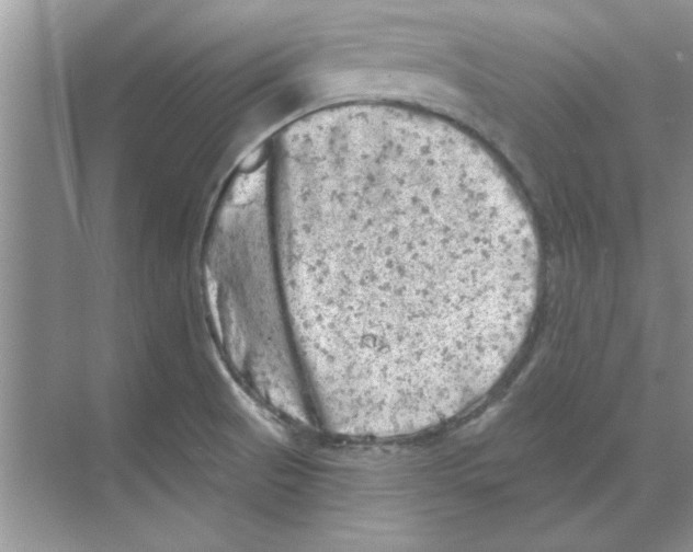 X0000068891521200606021906