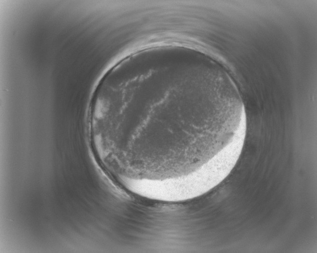 X0000068891522200606021906