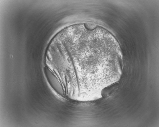 X0000068891523200606021906