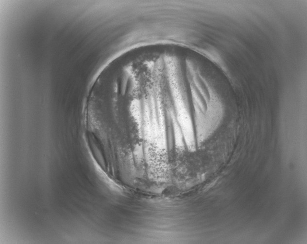 X0000068891524200606021906