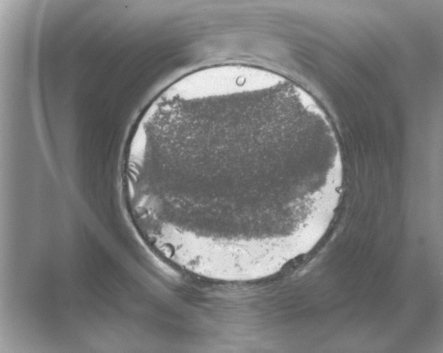 X0000068891525200606021906