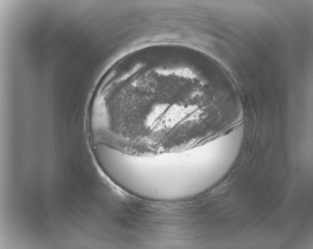 X0000068891527200606021906