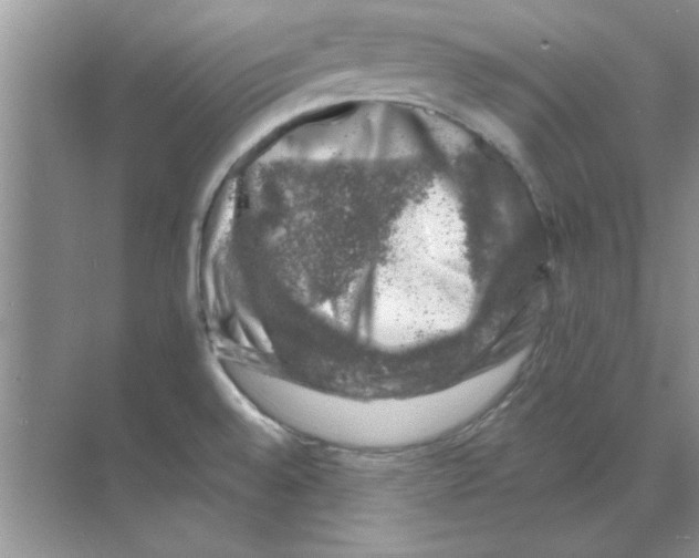 X0000068891528200606021906