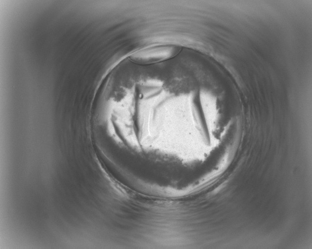 X0000068891529200606021906