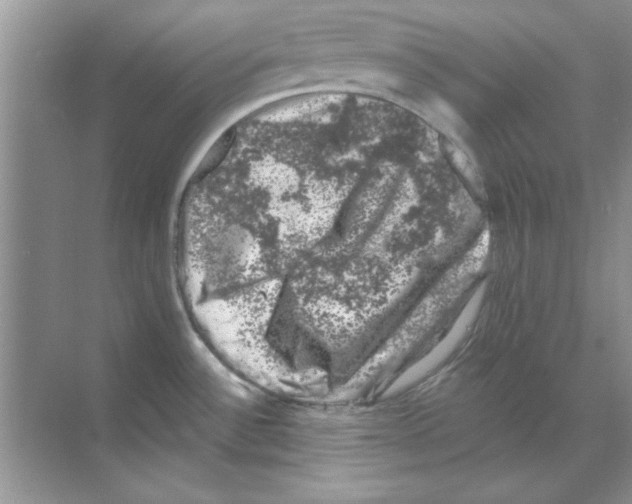 X0000068891532200606021906