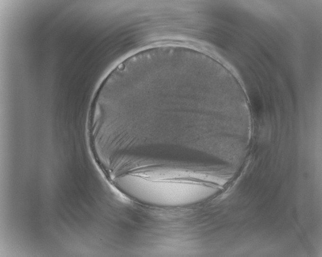 X0000068891533200606021906