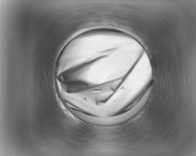 X0000068891534200606021906