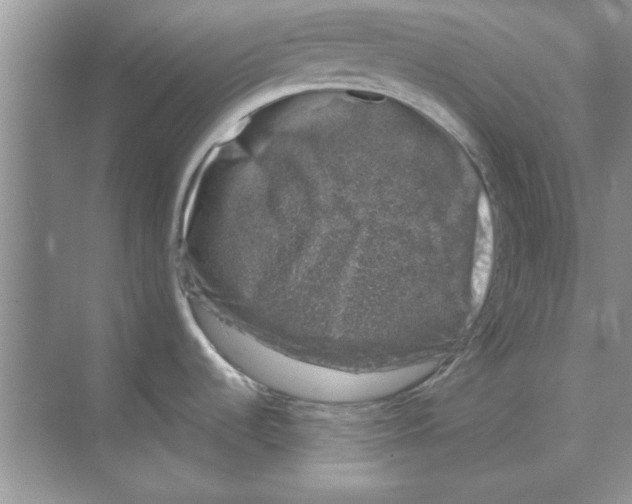 X0000068891536200606021906