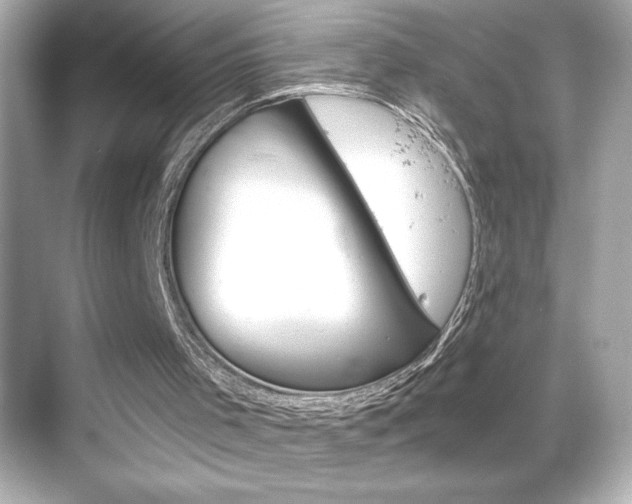 X0000068900001200605051153