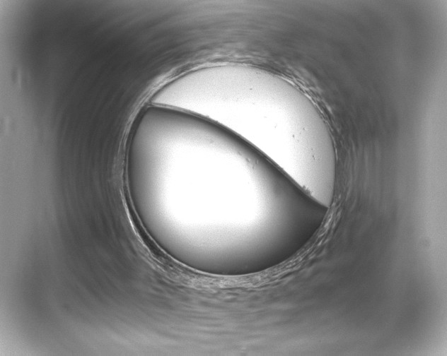 X0000068900003200605051153
