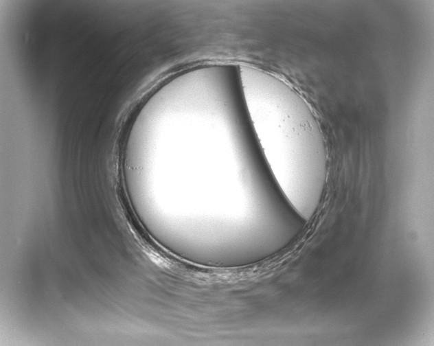 X0000068900005200605051153