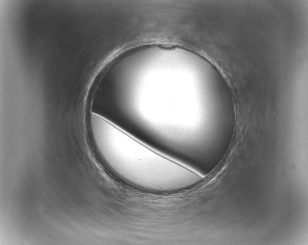 X0000068900008200605051153