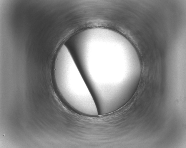X0000068900010200605051153