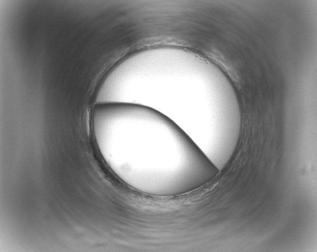 X0000068900014200605051153