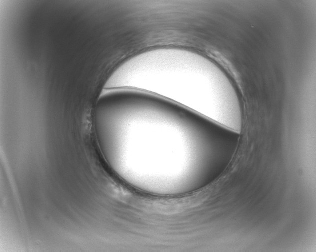X0000068900017200605051152