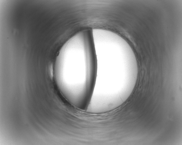 X0000068900027200605051152