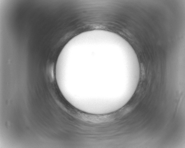 X0000068900028200605051152