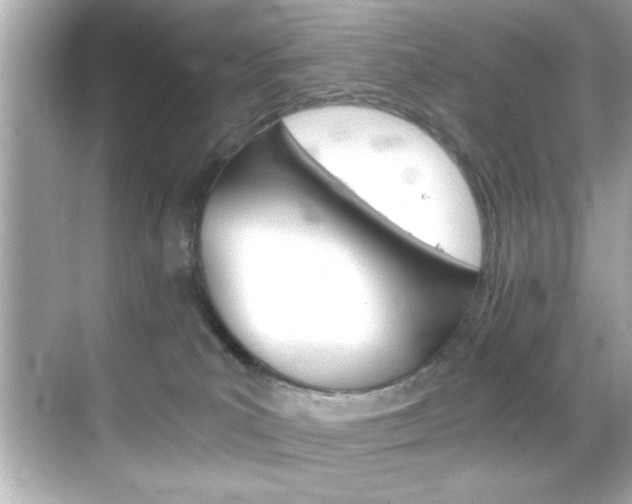 X0000068900039200605051152