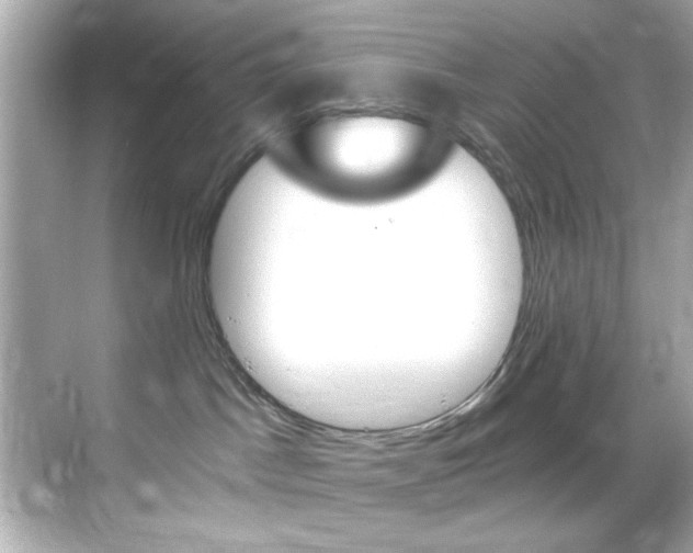 X0000068900045200605051152